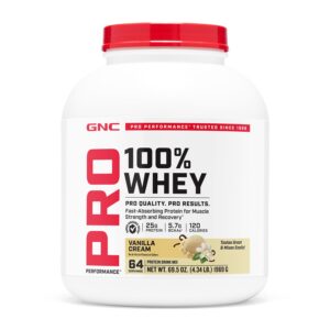 100% whey protein powder v2